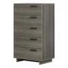 Cavalleri 5-Drawer Gray Maple Chest of Drawers by South Shore