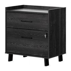 Kozack Gray Oak Decorative Lateral File Cabinet with 2-Drawers by South Shore
