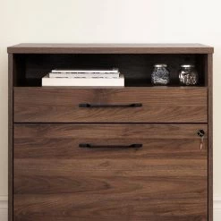 Helsy Natural Walnut Decorative Lateral File Cabinet with 2-Drawers by South Shore 22 Helsy Natural Walnut Decorative Lateral File Cabinet with 2-Drawers by South Shore -South Shore Shop natural walnut south shore file cabinets 13313 4f 1000