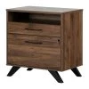Helsy Natural Walnut Decorative Lateral File Cabinet with 2-Drawers by South Shore