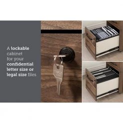 Helsy Natural Walnut Decorative Vertical File Cabinet with 2-Drawers by South Shore -South Shore Shop natural walnut south shore file cabinets 13314 1d 1000