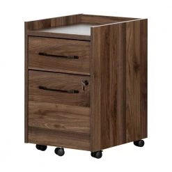 Helsy Natural Walnut Decorative Vertical File Cabinet with 2-Drawers by South Shore