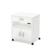 Axess Pure White Microwave Cart with Storage by South Shore