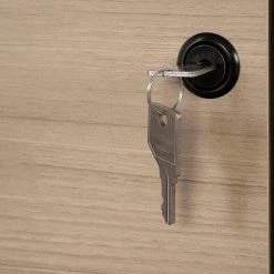 Kozack Soft Elm and Matte Black Decorative Vertical File Cabinet with 2-Drawers by South Shore -South Shore Shop soft elm and matte black south shore file cabinets 13330 4f 1000