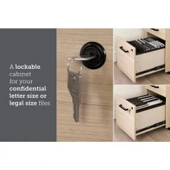 Zelia Soft Elm Decorative Vertical File Cabinet with 2-Drawers by South Shore -South Shore Shop soft elm south shore file cabinets 13356 1d 1000