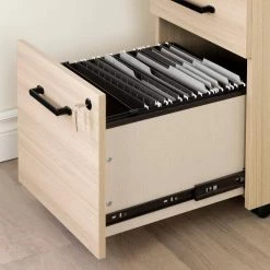 Zelia Soft Elm Decorative Vertical File Cabinet with 2-Drawers by South Shore -South Shore Shop soft elm south shore file cabinets 13356 1f 1000