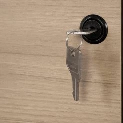 Zelia Soft Elm Decorative Vertical File Cabinet with 2-Drawers by South Shore -South Shore Shop soft elm south shore file cabinets 13356 4f 1000