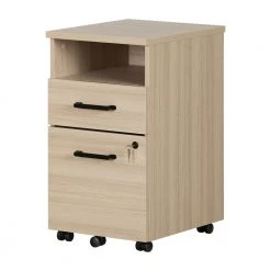 Zelia Soft Elm Decorative Vertical File Cabinet with 2-Drawers by South Shore